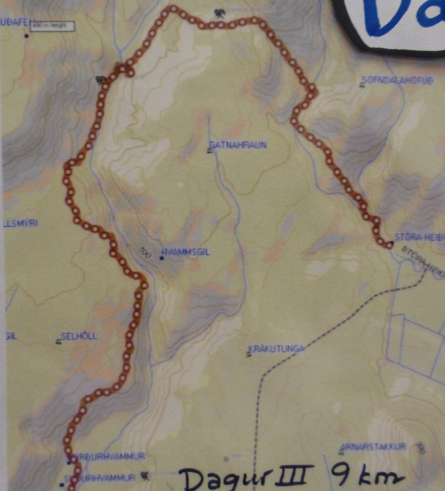 dagur3